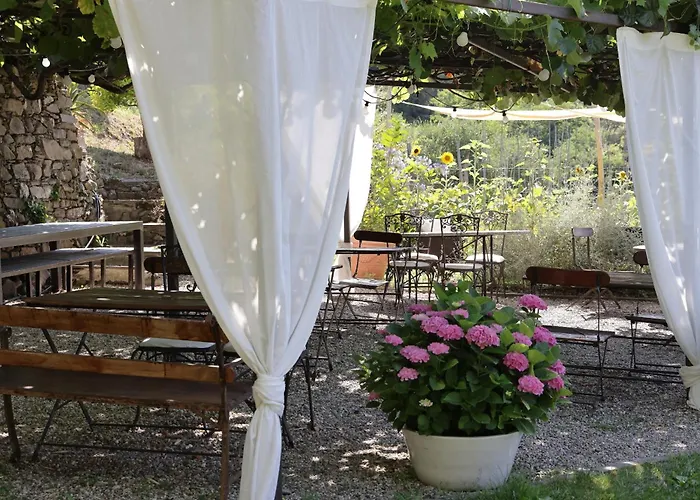 Casa Olivieri Farma *
